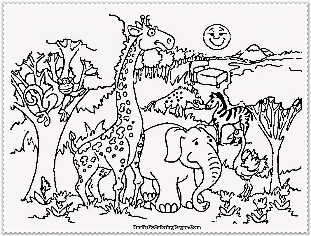 Zoo Coloring Pages 1066x810 Zoo Coloring Pages