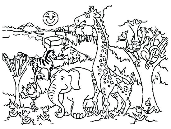 Zoo Coloring Pages Zoo Coloring Pages Zoo Animals Coloring Pages 550x414 Zoo Coloring Pages Zoo Coloring Pages Zoo Animals Coloring Pages
