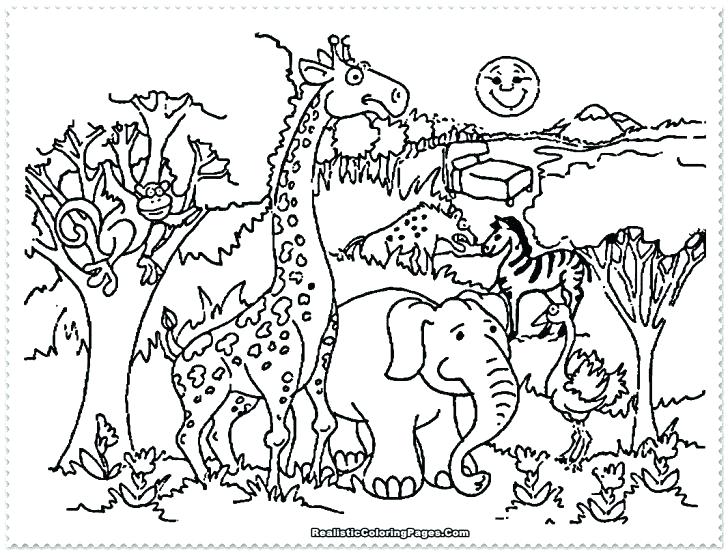 Zoo Coloring Sheet Zoo Coloring Sheet Zoo Coloring Pages Zoo 728x553 Zoo Coloring Sheet Zoo Coloring Sheet Zoo Coloring Pages Zoo