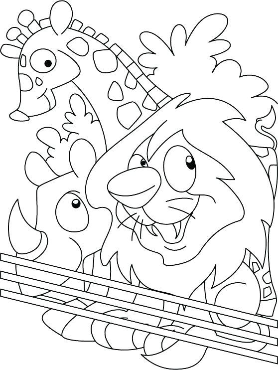 558x742 Zoo Animal Coloring Pages Capture Safari Coloring Page Preschool