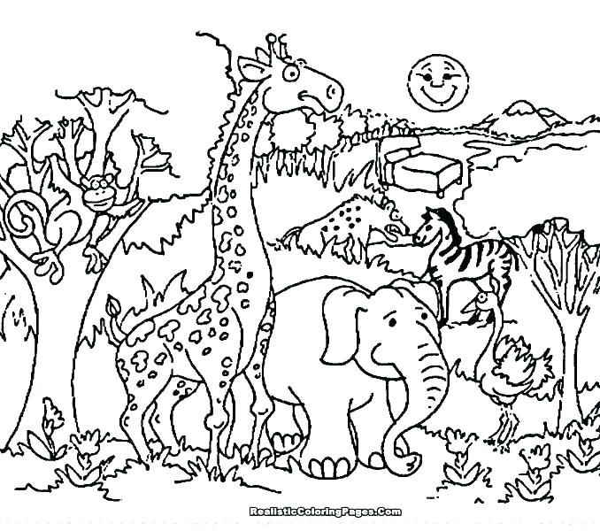 678x600 Zoo Coloring Book Zoo Coloring Book Together With Zoo Coloring