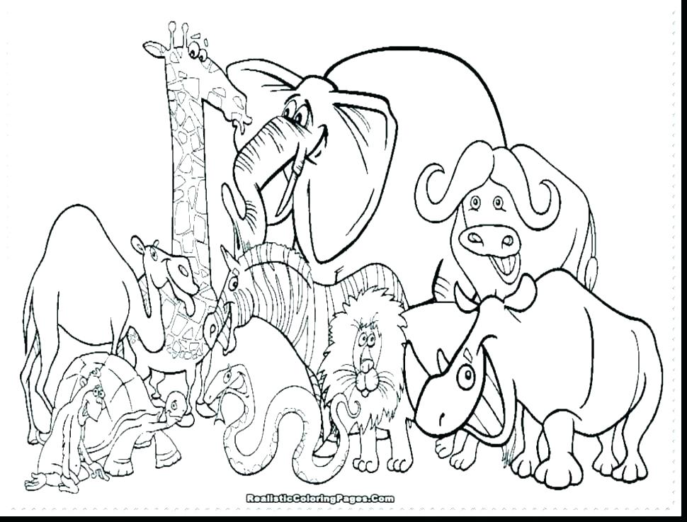 970x737 Coloring Pages Of Zoo Animals For Preschool Preschool Coloring