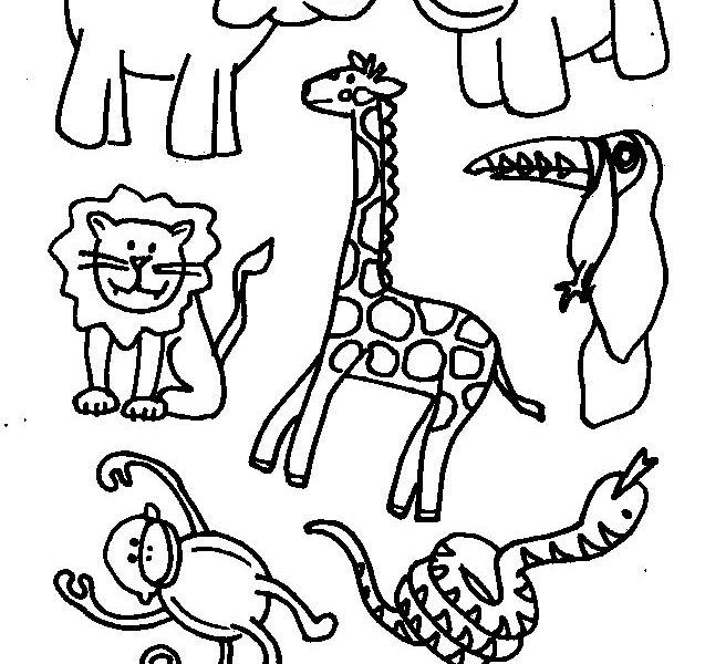 637x600 Preschool Coloring Pages Animals Coloring Pages Of Zoo Animals