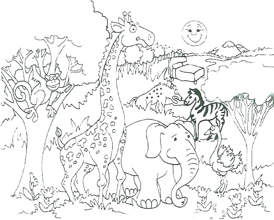 900x724 Animals Coloring Pages For Toddlers Zoo Animals Coloring Page