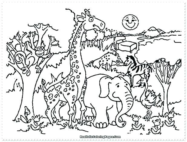 618x470 Zoo Coloring Pages Preschool Animal Page Cute 2 Children In Design