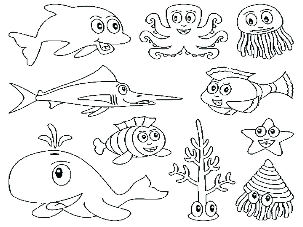 Zoo Coloring Book Zoo Animal Coloring Pages For Animals Book Zoo 970x728 Zoo Coloring Book Zoo Animal Coloring Pages For Animals Book Zoo