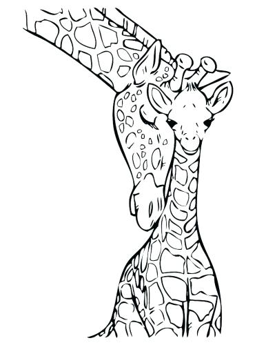 386x500 Giraffes Coloring Pages Medium Size Of Giraffe Coloring Page Zoom