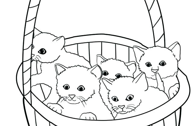 640x420 Christmas Mystery Pictures Coloring Pages Tag For Of Cute Kittens
