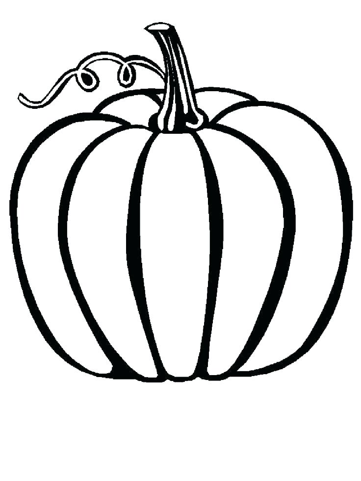 Squash Coloring Page Squash Coloring Page Acorn Squash Coloring 736x981 Squash Coloring Page Squash Coloring Page Acorn Squash Coloring