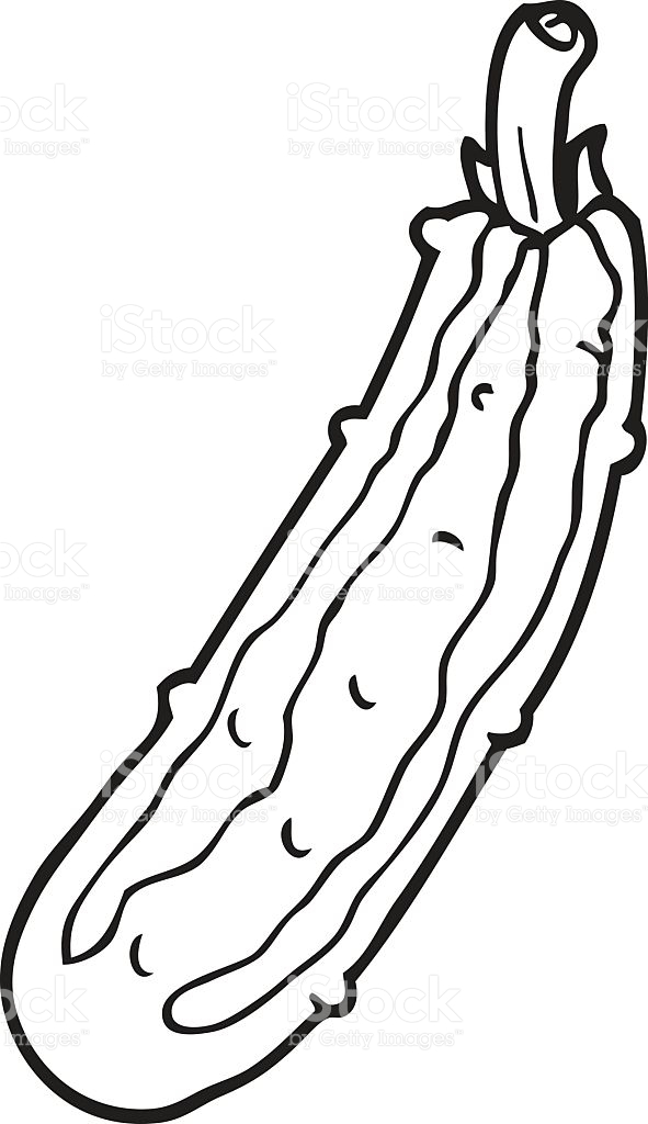 Zucchini Clipart Black And White 591x1024 Zucchini Clipart Black And White