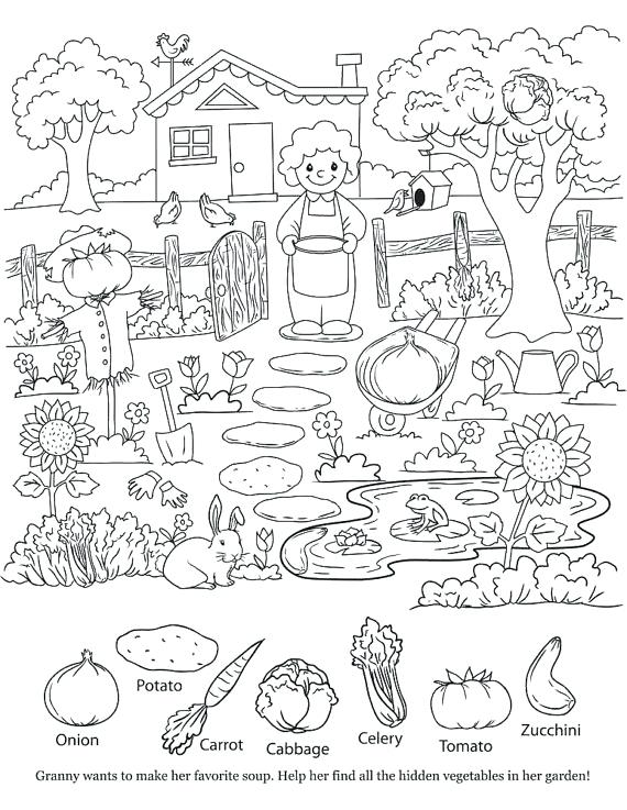 Hidden Picture Coloring Pages 570x737 Hidden Picture Coloring Pages