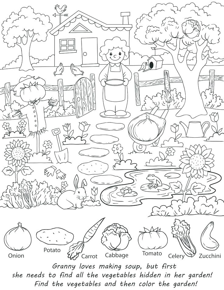 Hidden Pictures Coloring Pages Images About Beautiful Hidden 736x952 Hidden Pictures Coloring Pages Images About Beautiful Hidden