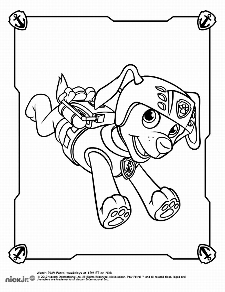 927x1200 Odd Rocky Paw Patrol Coloring Page Zuma Pages For Kids